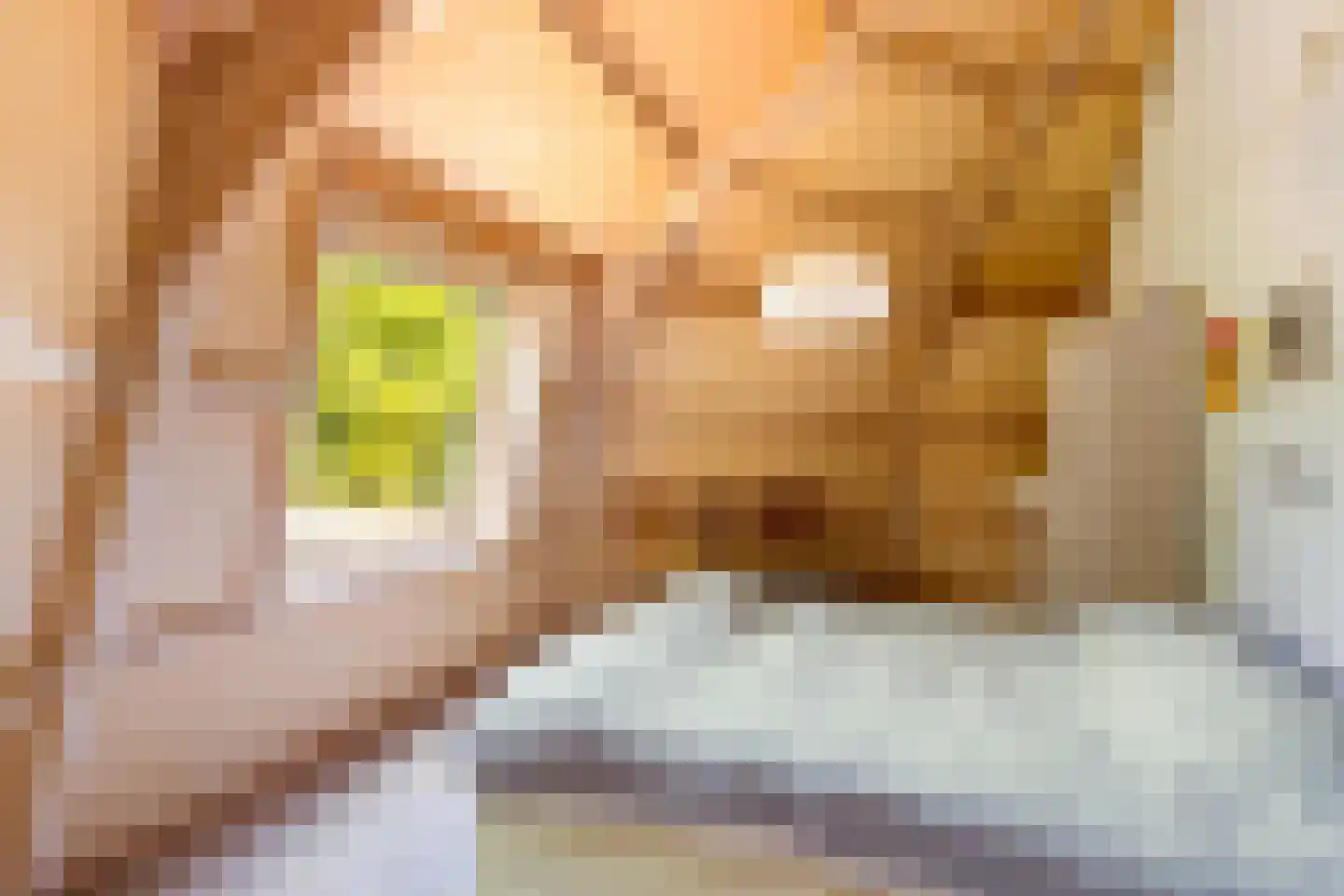 Deventerweg 49 Gorssel thumbnail 37