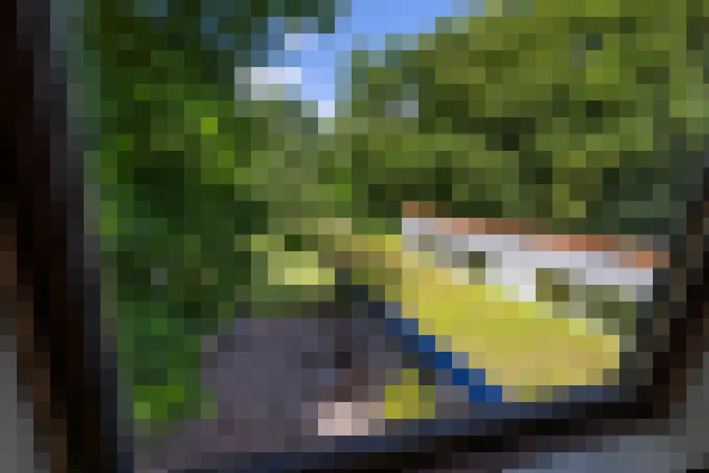 Deventerweg 49 Gorssel thumbnail 38