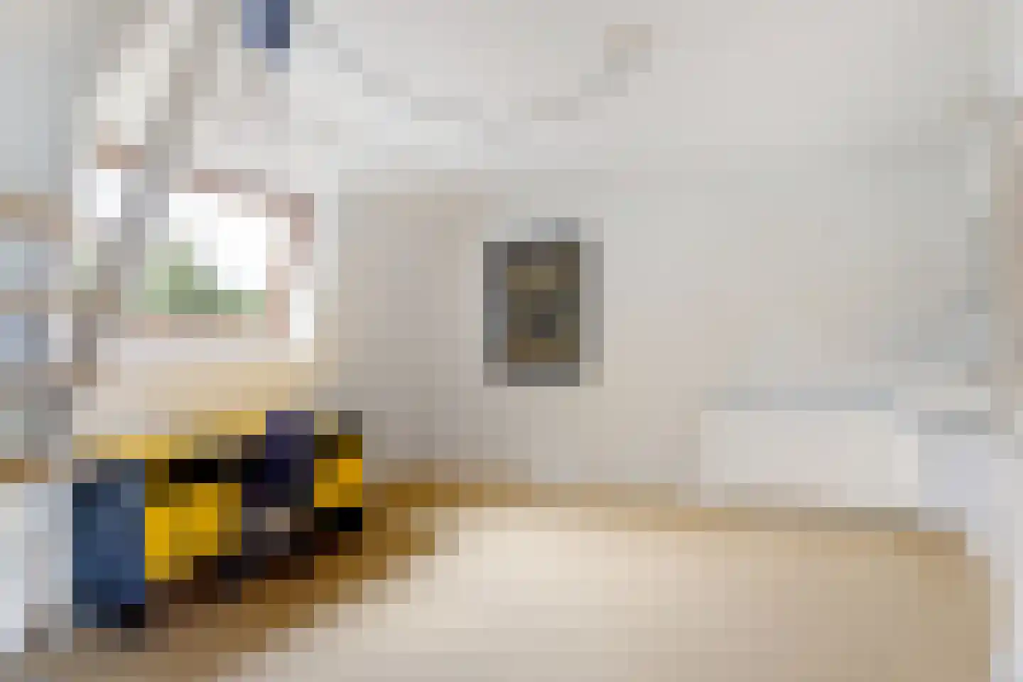 Deventerweg 49 Gorssel thumbnail 45