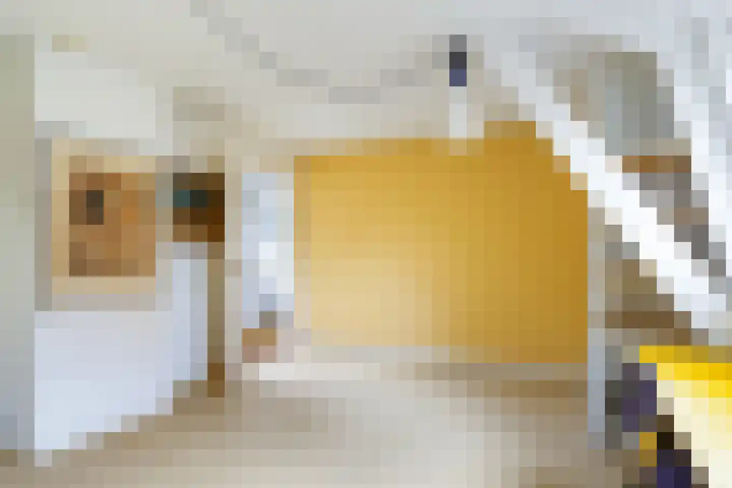 Deventerweg 49 Gorssel thumbnail 46