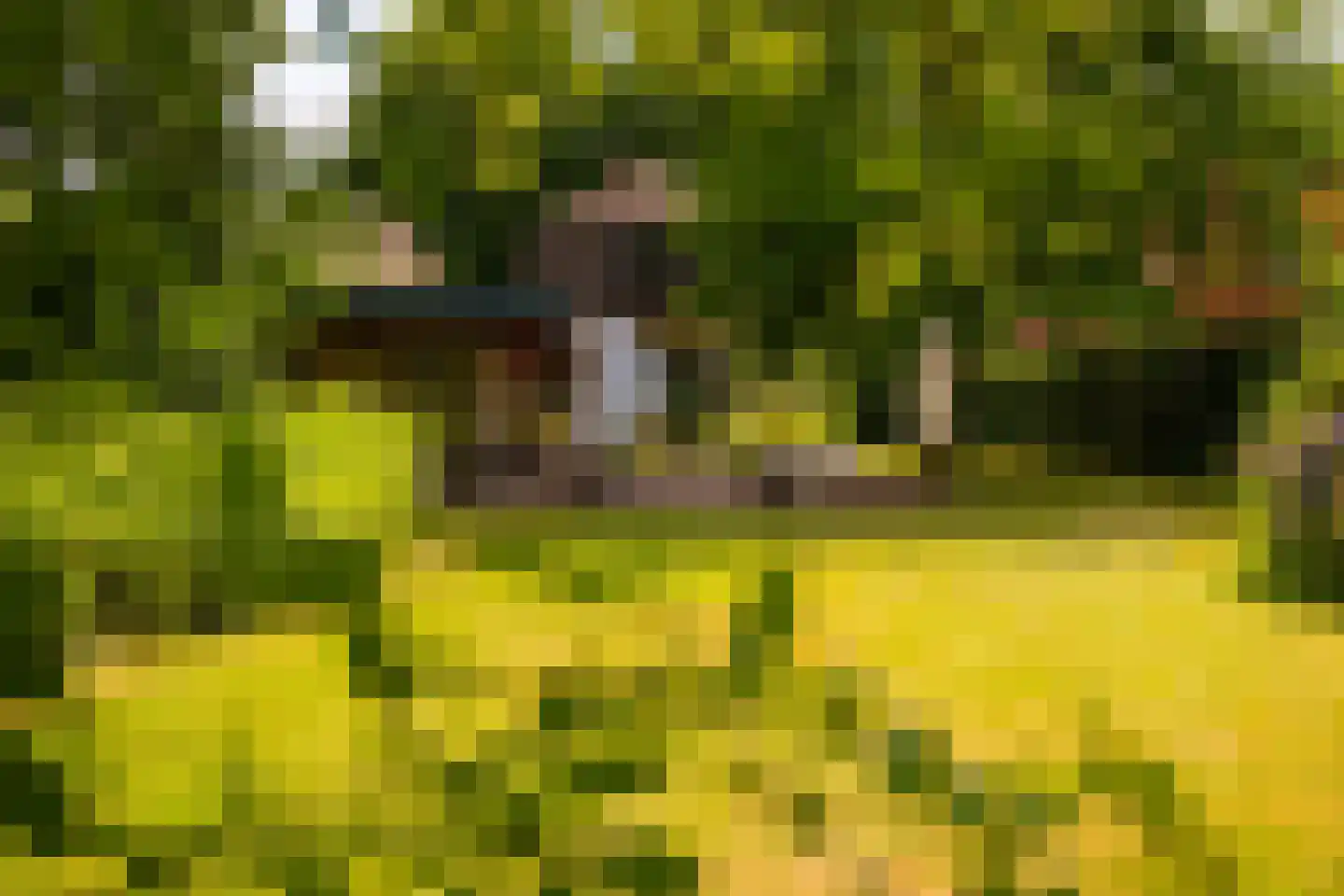 Deventerweg 49 Gorssel thumbnail 50