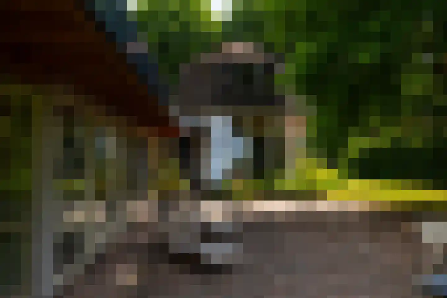 Deventerweg 49 Gorssel thumbnail 52