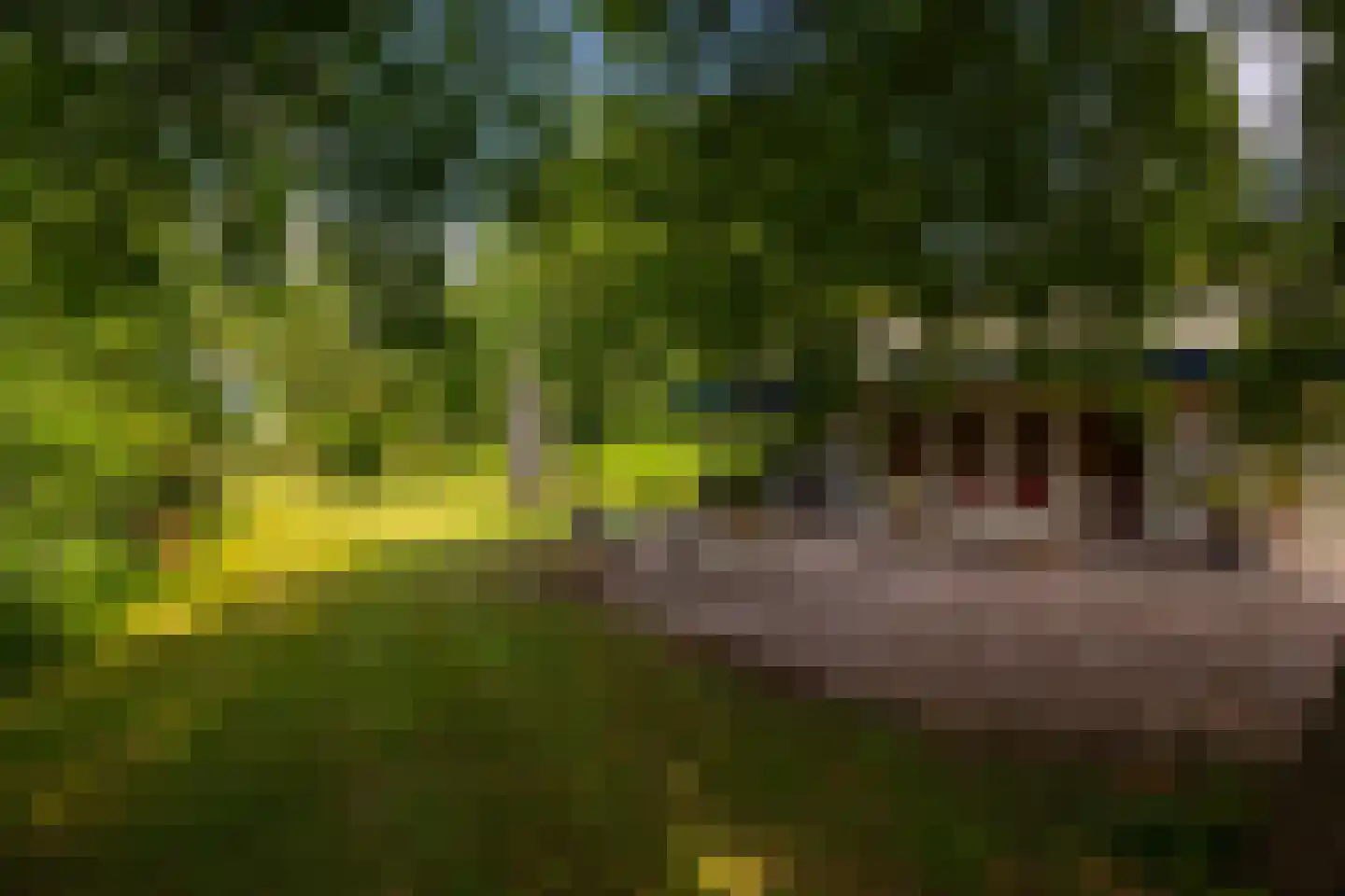 Deventerweg 49 Gorssel thumbnail 55