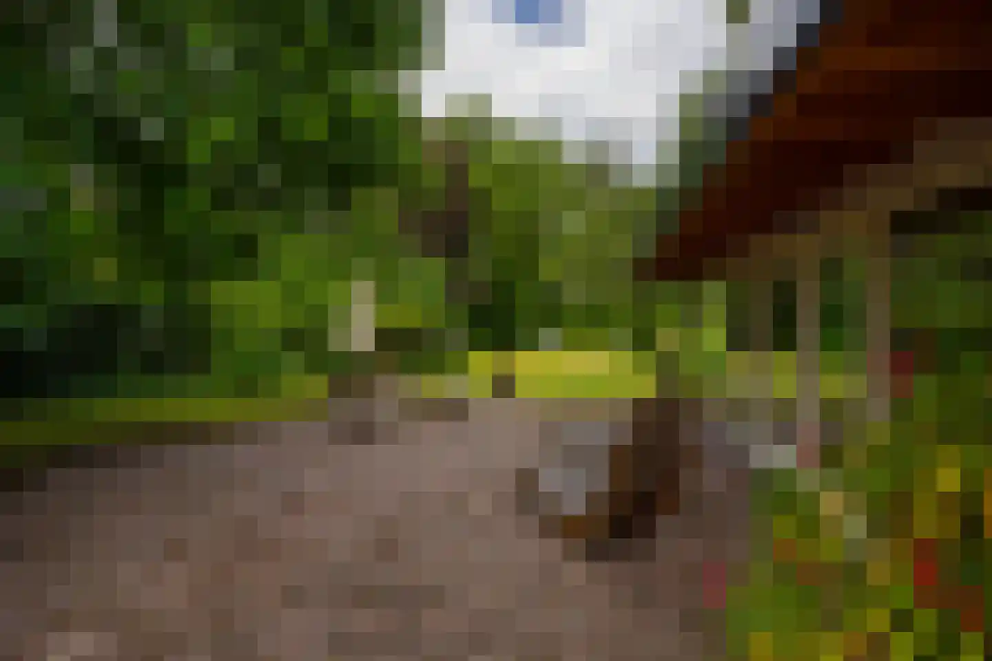 Deventerweg 49 Gorssel thumbnail 56