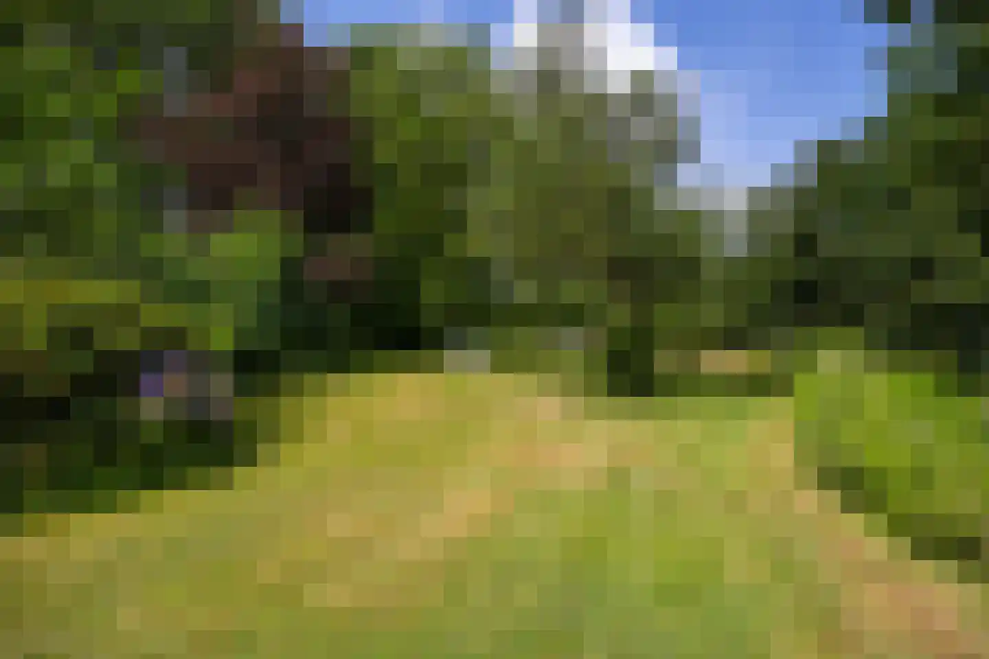 Deventerweg 49 Gorssel thumbnail 57