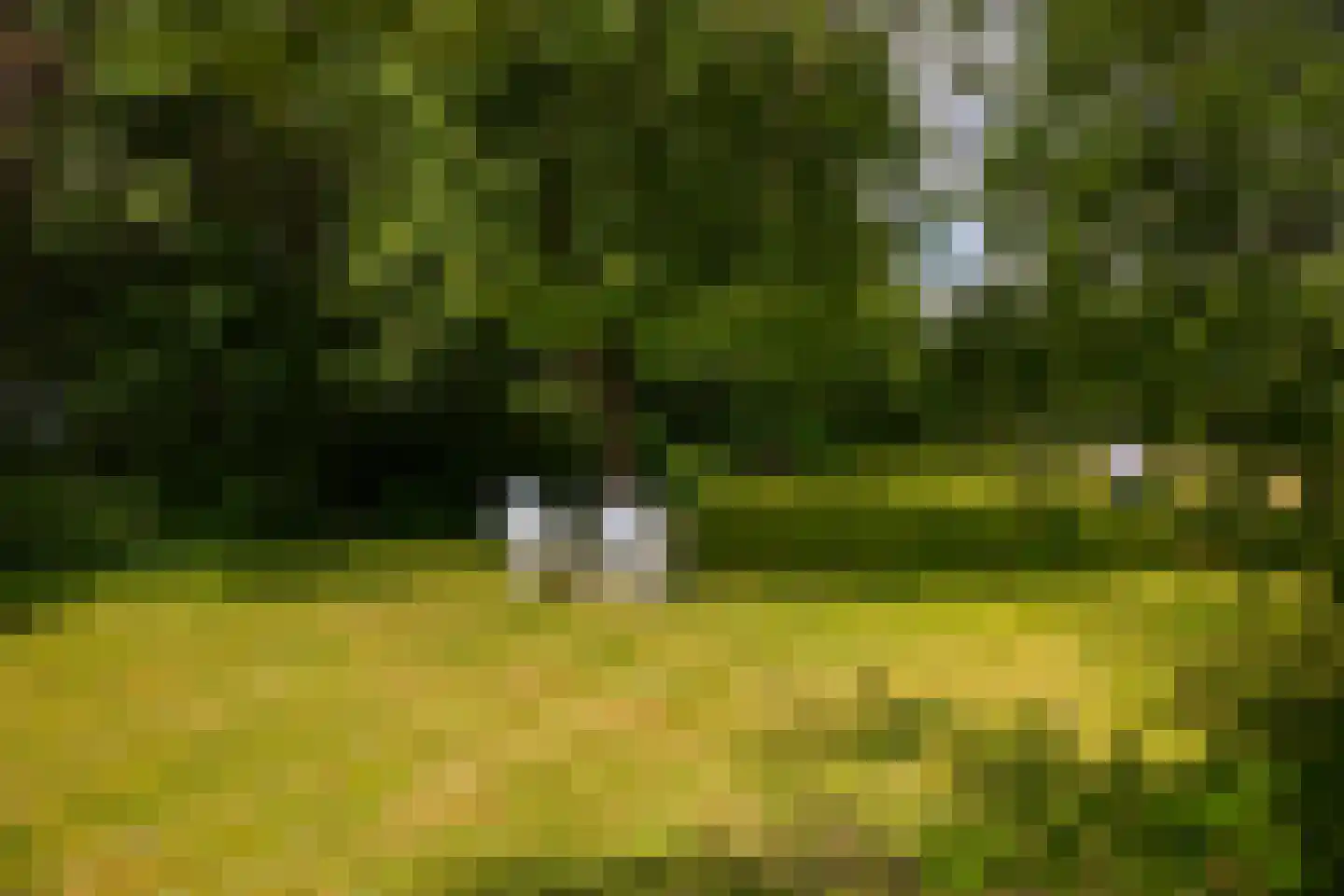 Deventerweg 49 Gorssel thumbnail 58