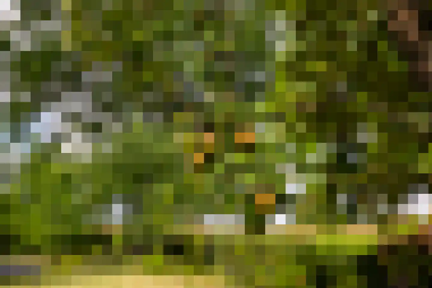 Deventerweg 49 Gorssel thumbnail 60