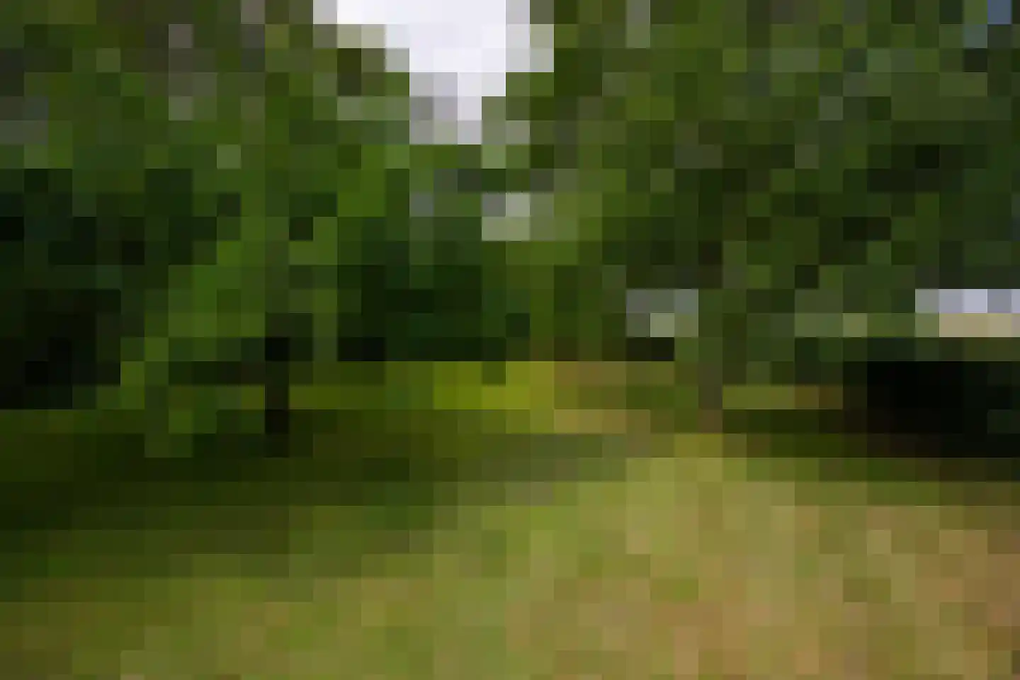 Deventerweg 49 Gorssel thumbnail 62