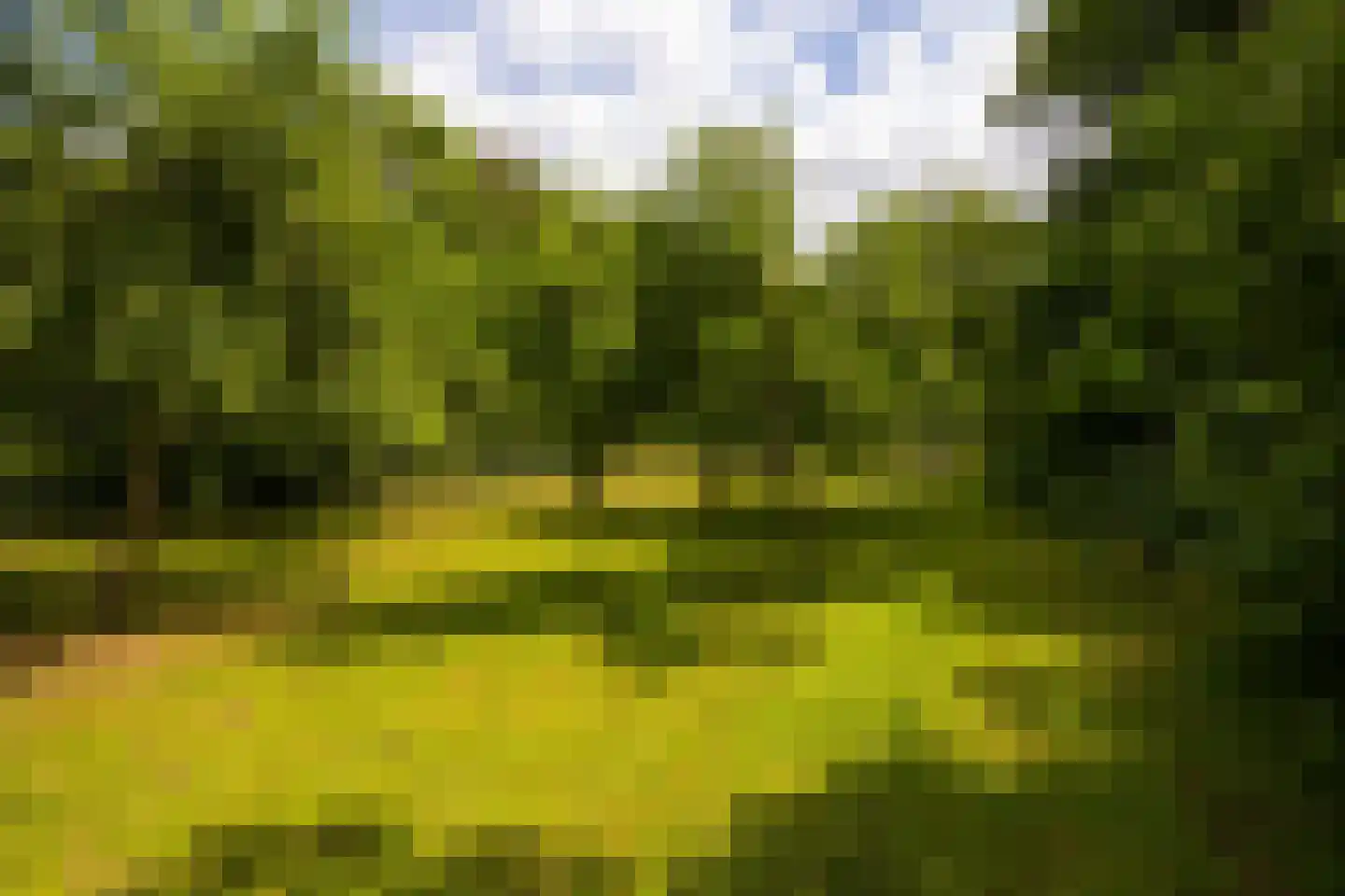 Deventerweg 49 Gorssel thumbnail 64