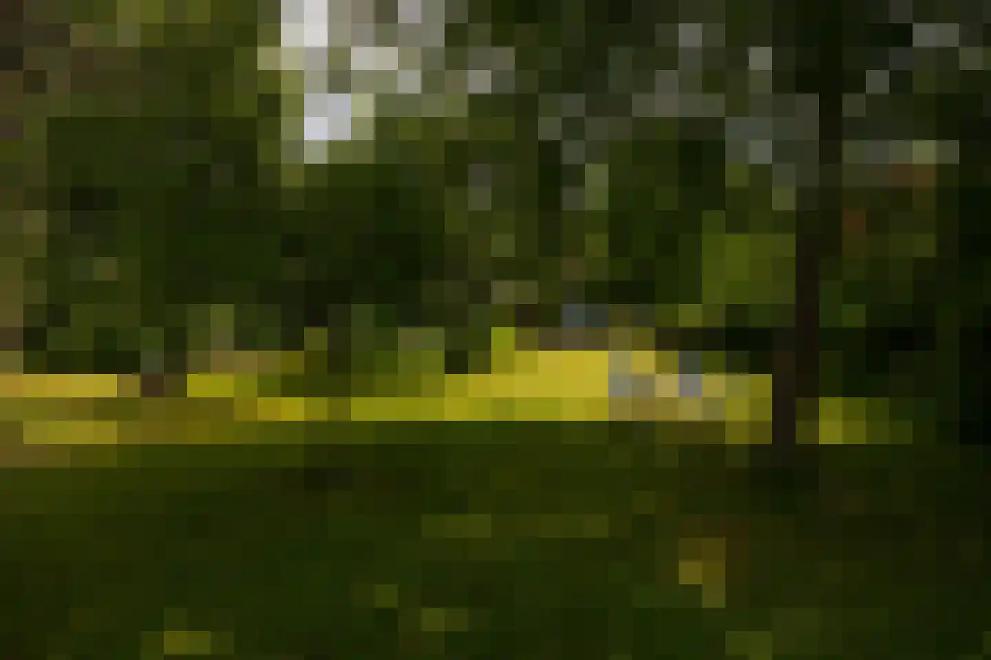 Deventerweg 49 Gorssel thumbnail 65