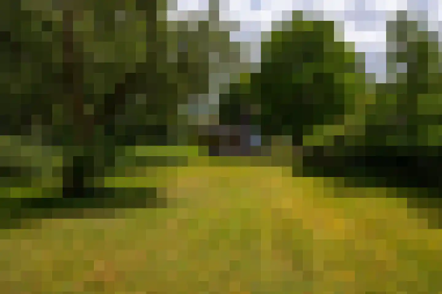 Deventerweg 49 Gorssel thumbnail 66