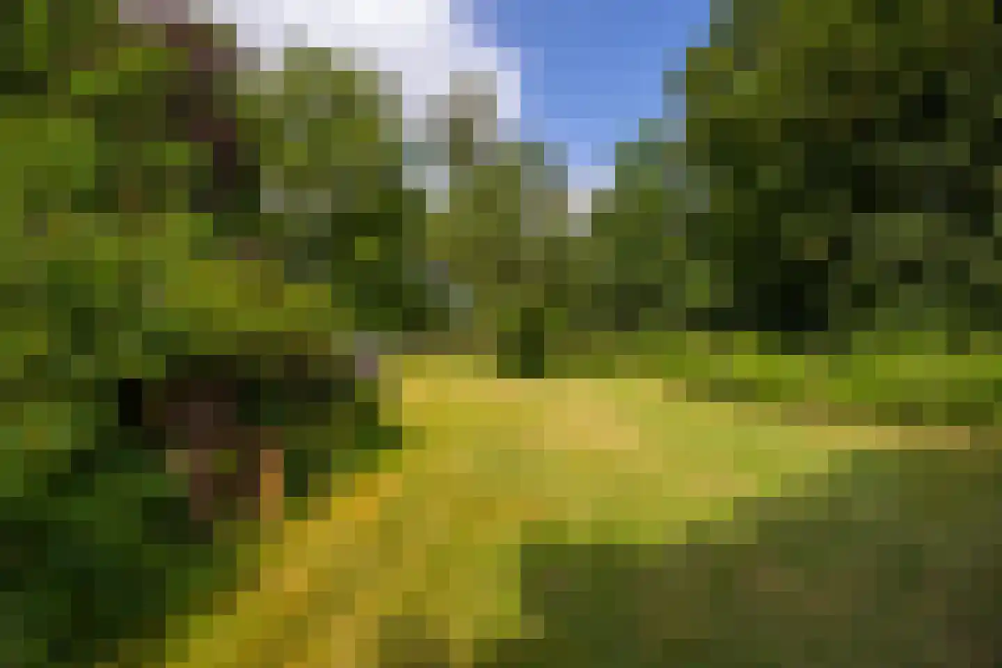Deventerweg 49 Gorssel thumbnail 67