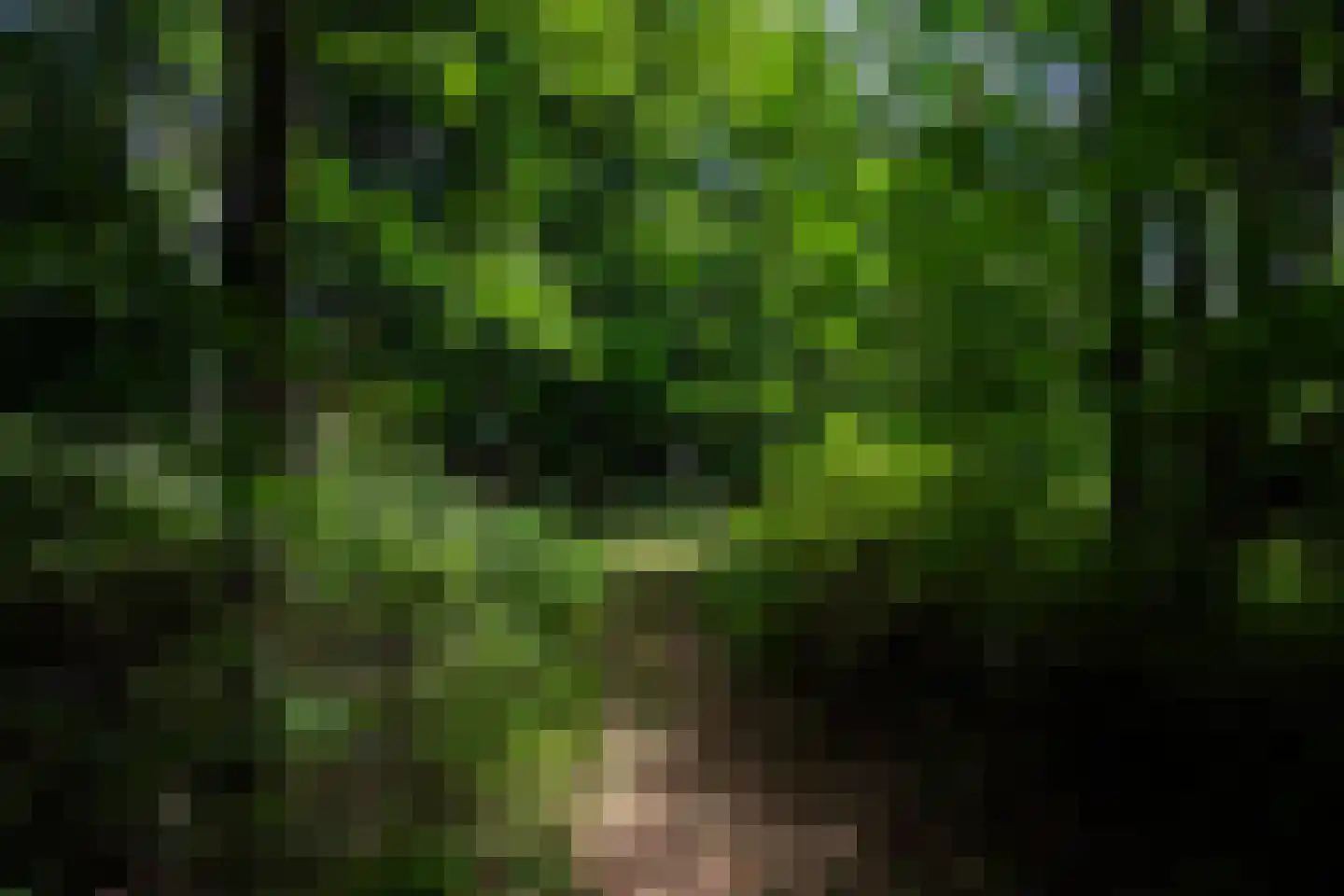 Deventerweg 49 Gorssel thumbnail 68
