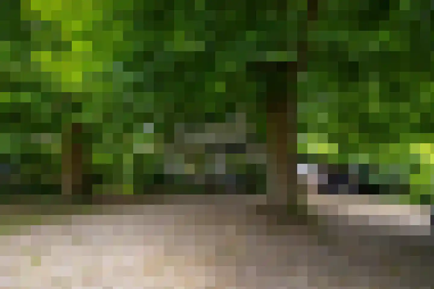 Deventerweg 49 Gorssel thumbnail 69
