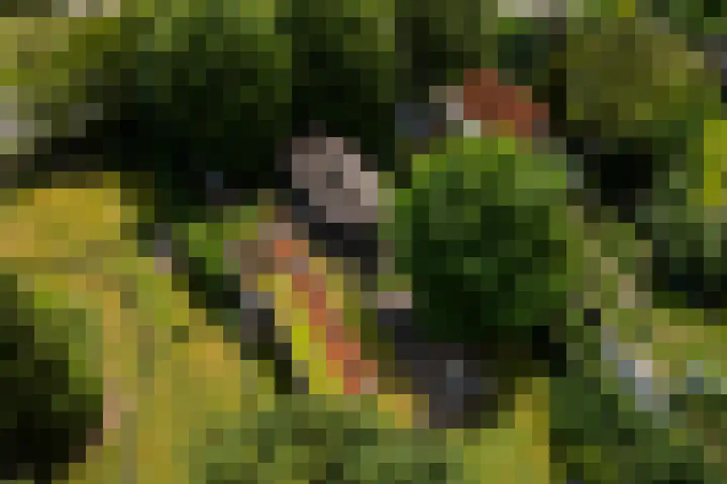 Deventerweg 49 Gorssel thumbnail 70