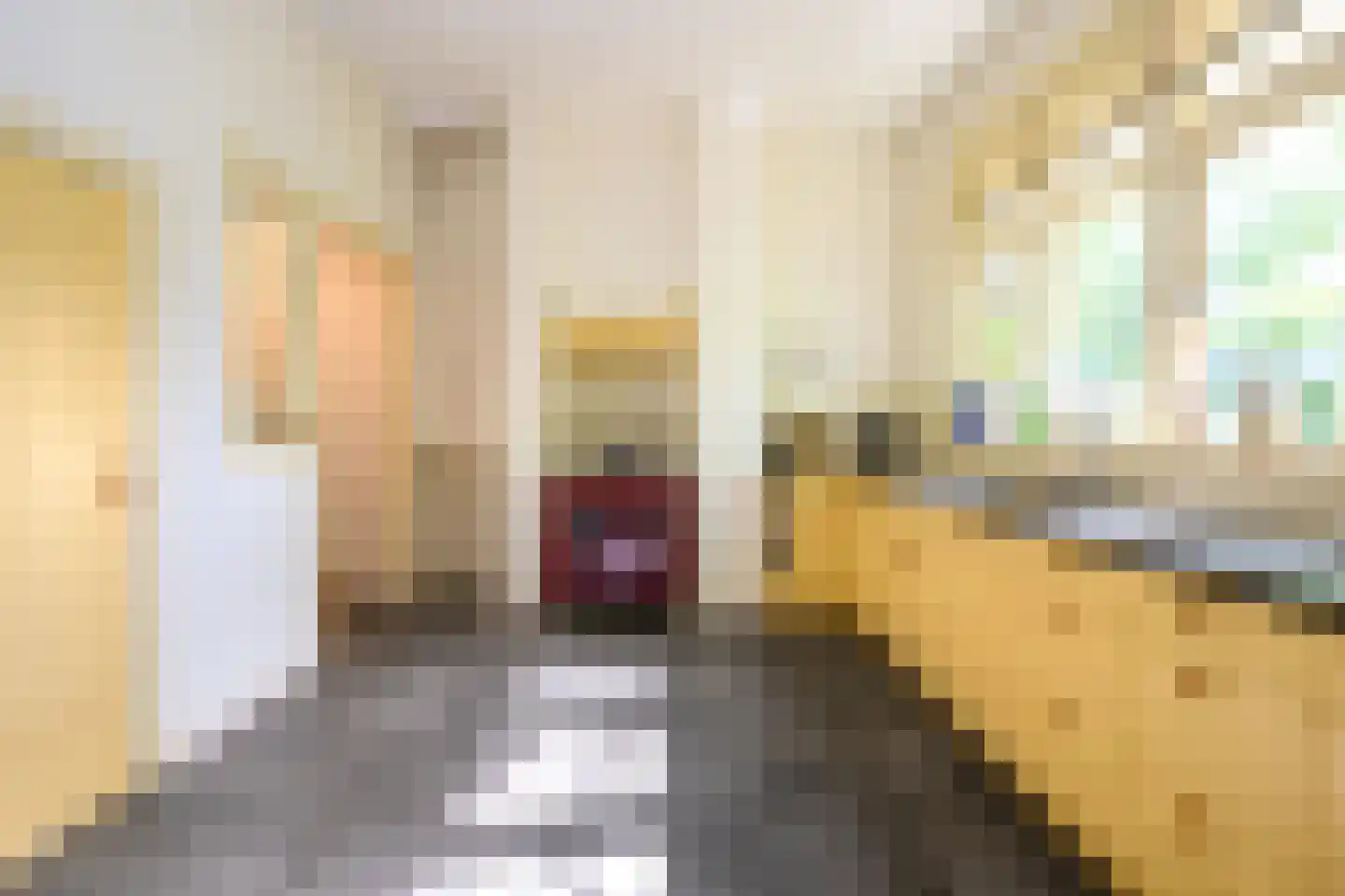 Deventerweg 54 Zutphen thumbnail 13