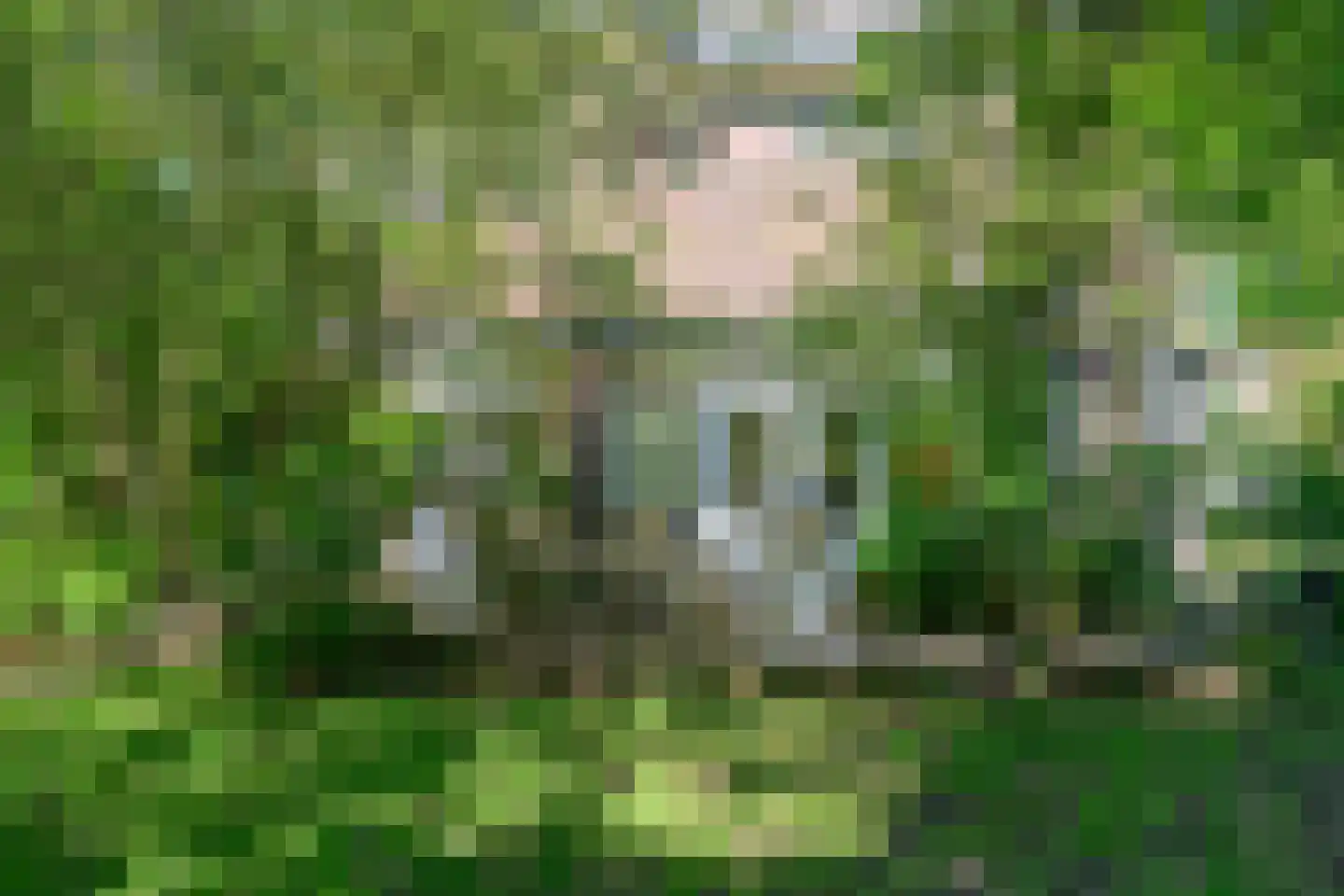 Deventerweg 54 Zutphen thumbnail 25
