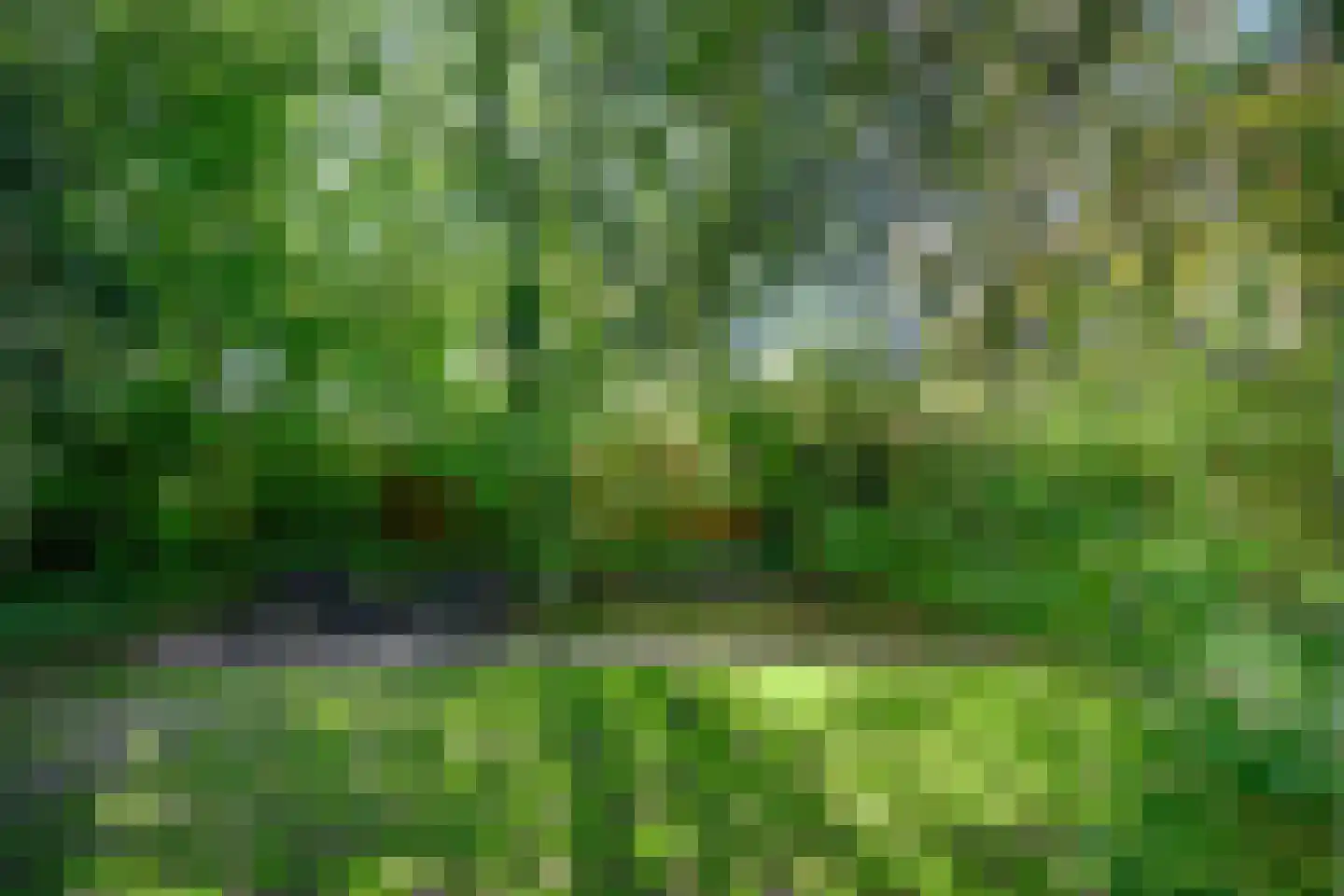 Deventerweg 54 Zutphen thumbnail 27