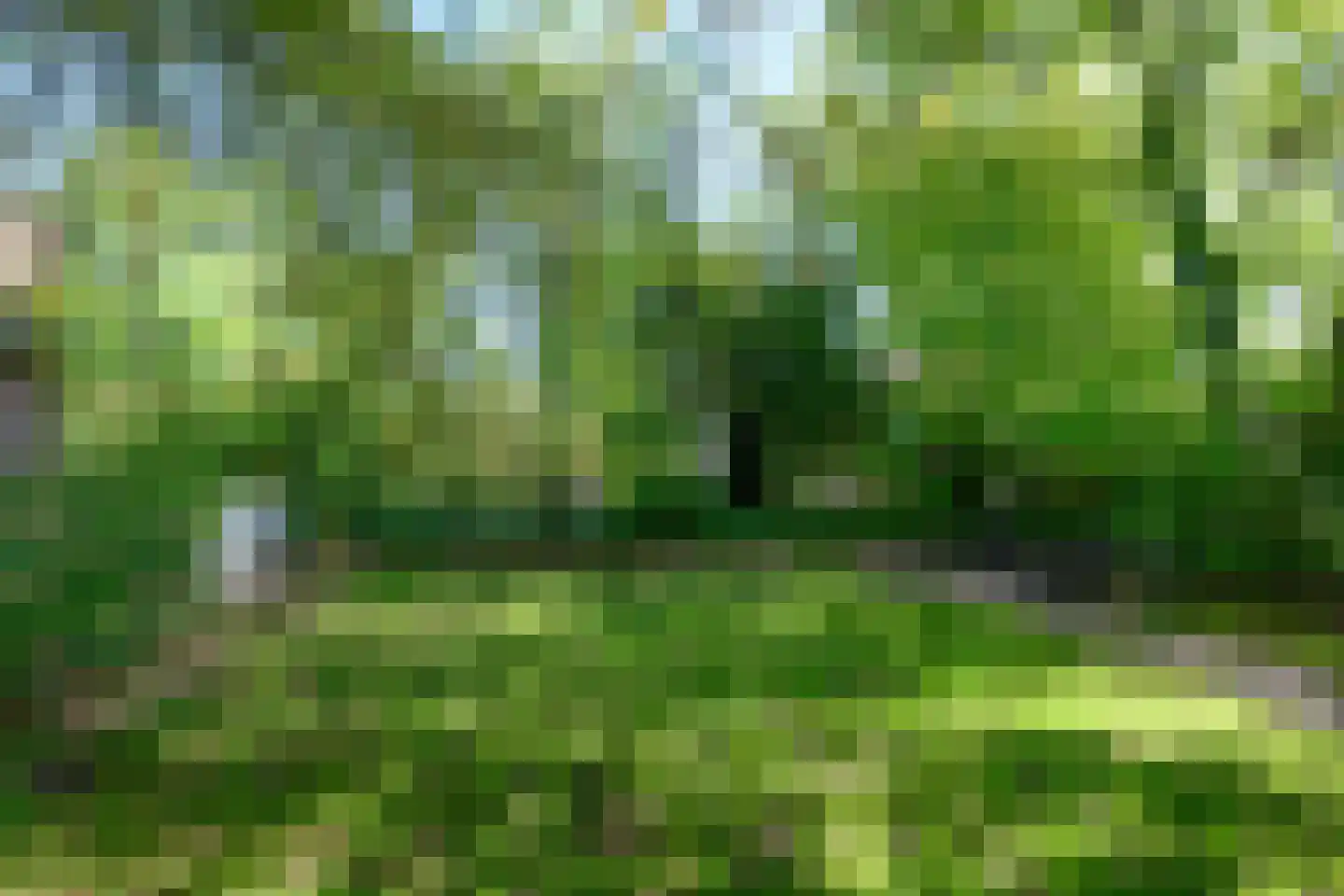 Deventerweg 54 Zutphen thumbnail 28