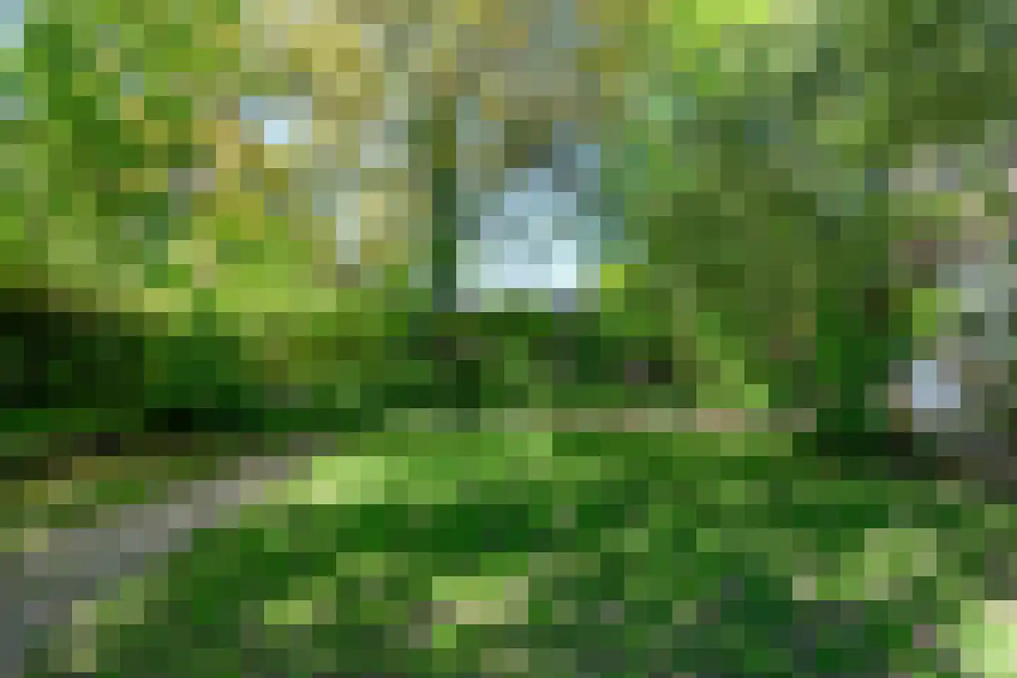 Deventerweg 54 Zutphen thumbnail 29