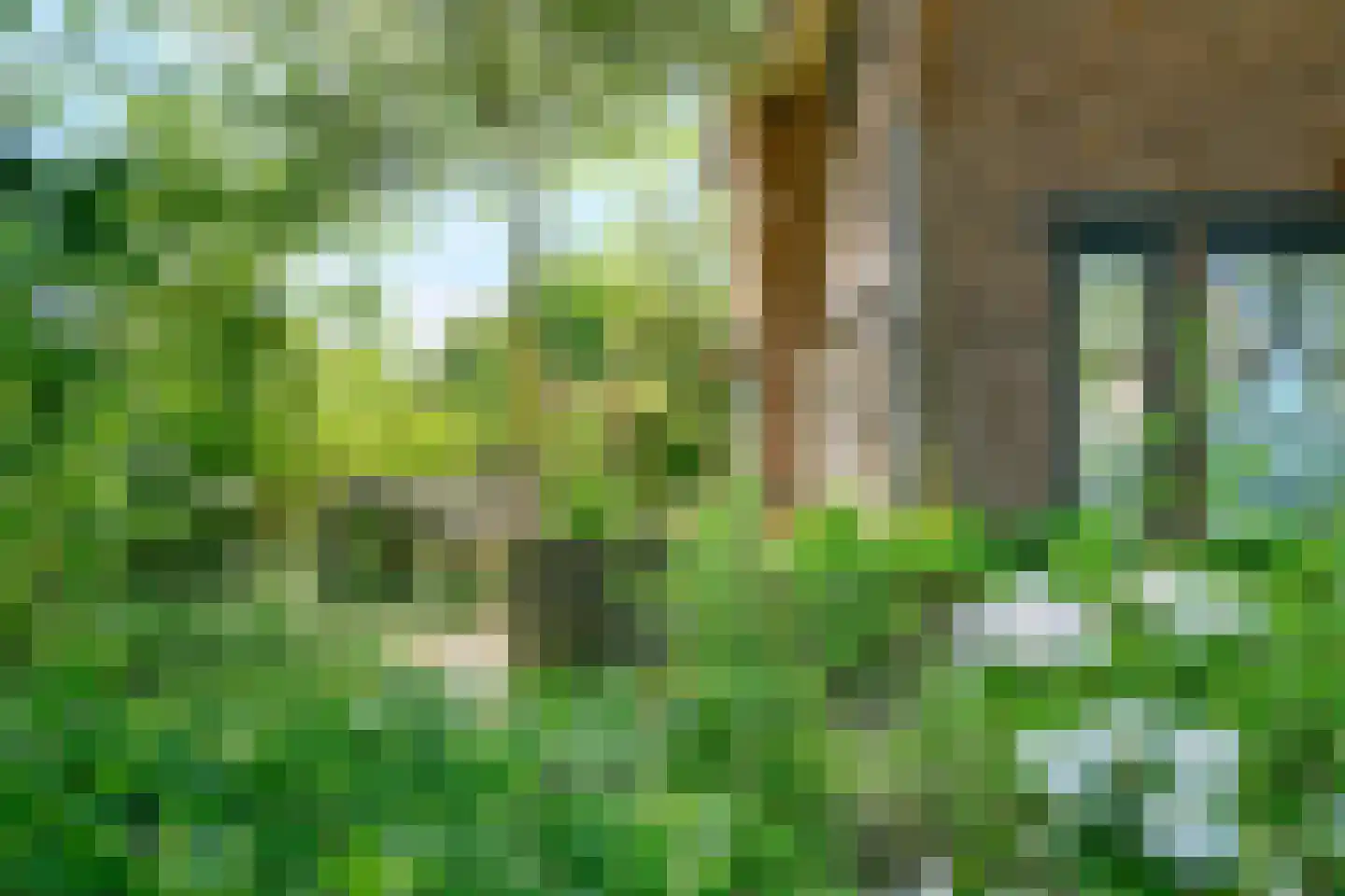 Deventerweg 54 Zutphen thumbnail 31