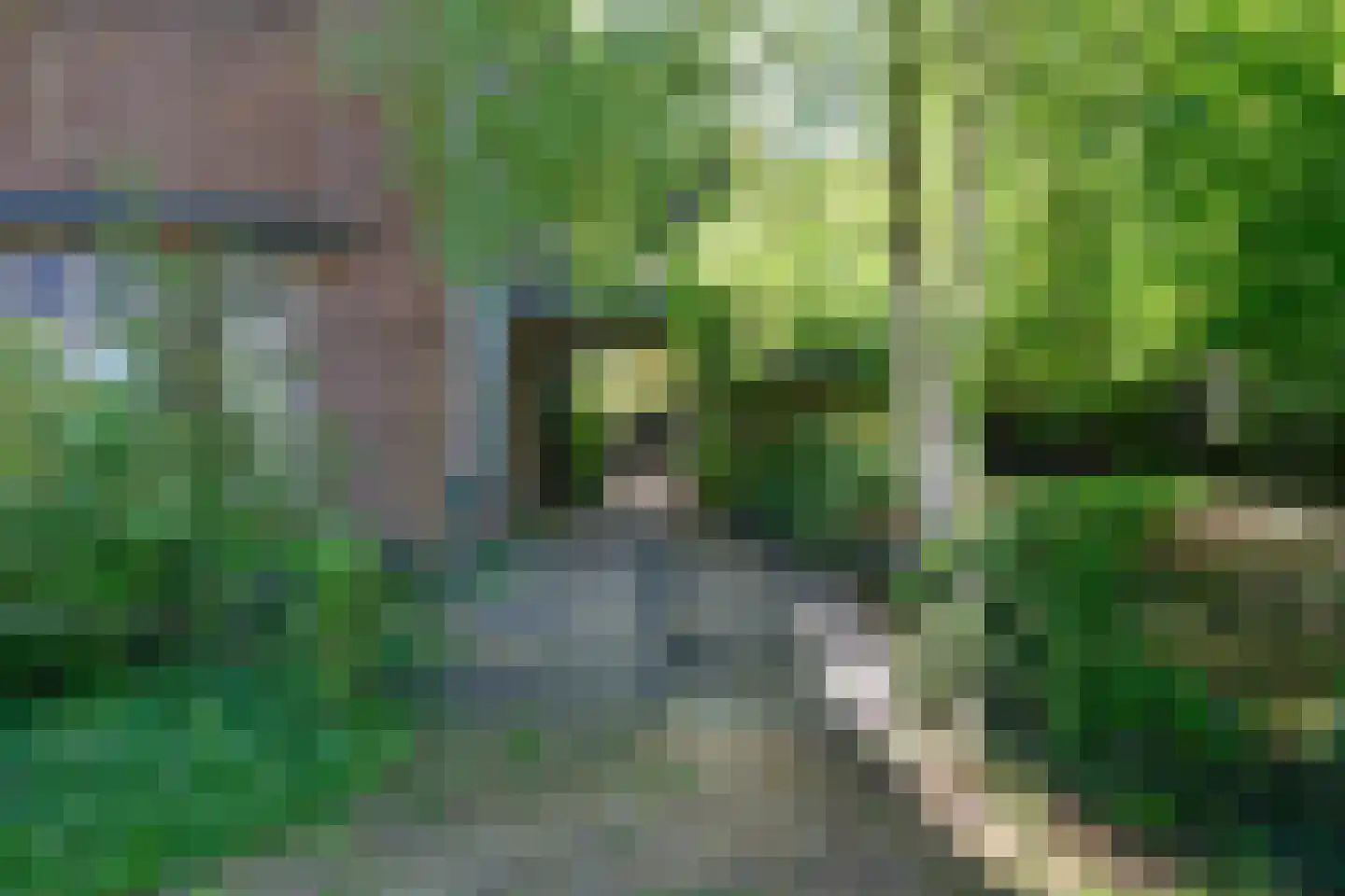 Deventerweg 54 Zutphen thumbnail 35
