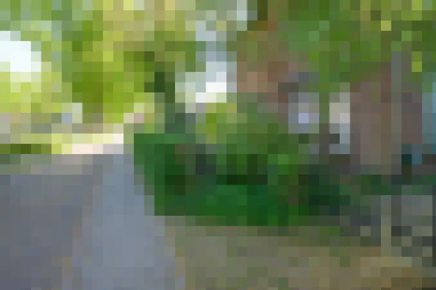 Deventerweg 54 Zutphen thumbnail 36