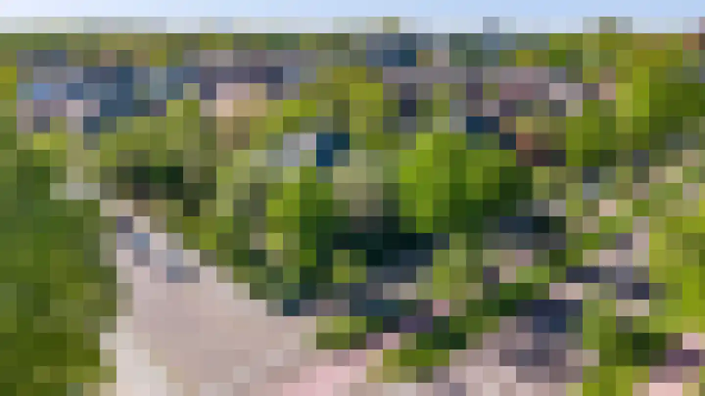 Deventerweg 54 Zutphen thumbnail 42