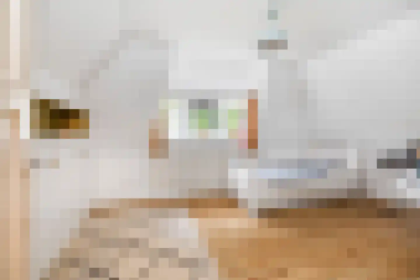 Deventerweg 72 Holten thumbnail 25