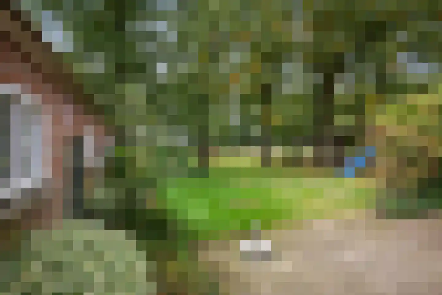 Deventerweg 72 Holten thumbnail 42