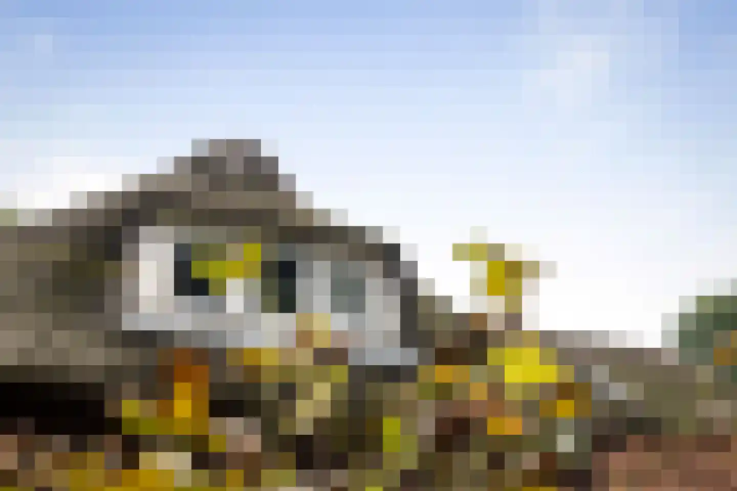 Deventerweg 72 Holten thumbnail 43
