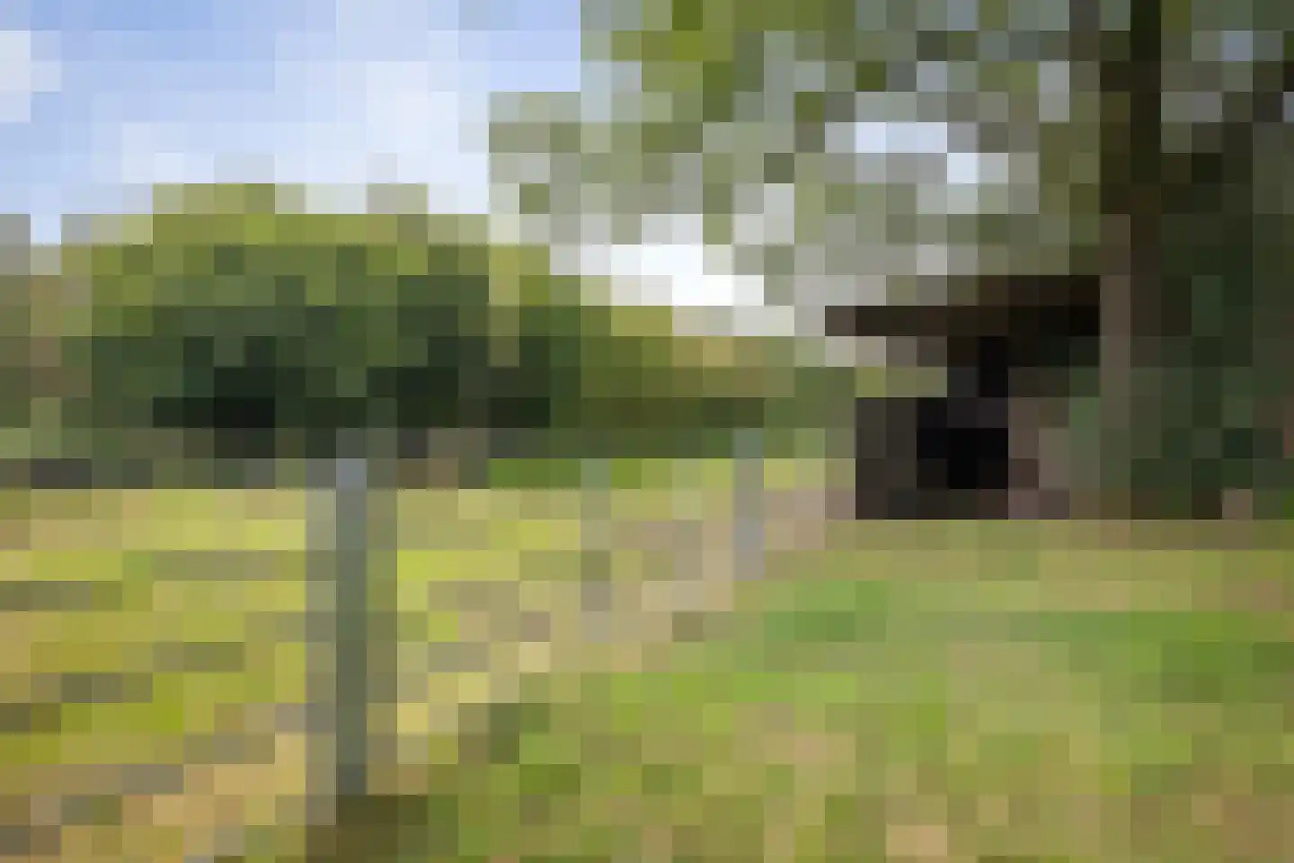Deventerweg 72 Holten thumbnail 49