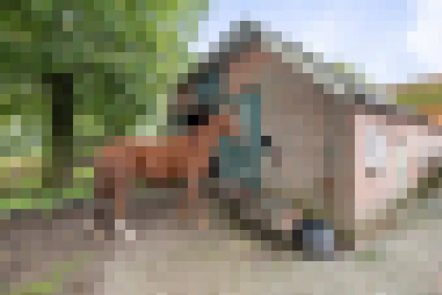 Deventerweg 72 Holten thumbnail 50