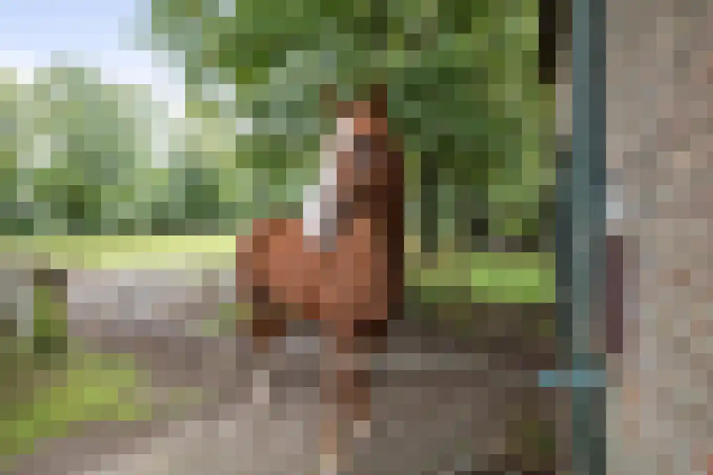 Deventerweg 72 Holten thumbnail 51