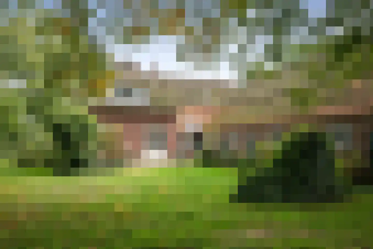Deventerweg 72 Holten thumbnail 53