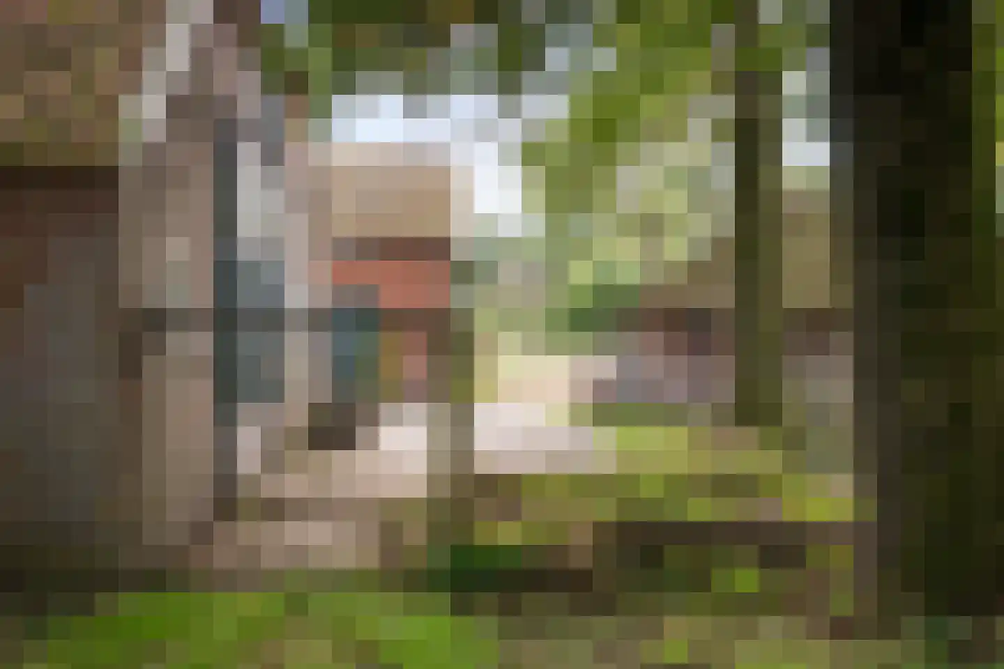 Deventerweg 72 Holten thumbnail 54