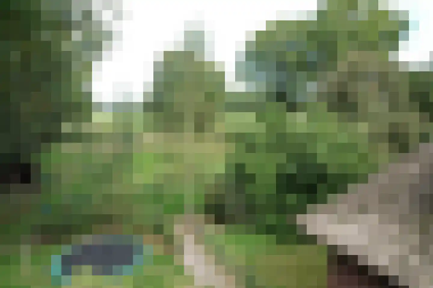Deventerweg 72 Holten thumbnail 57