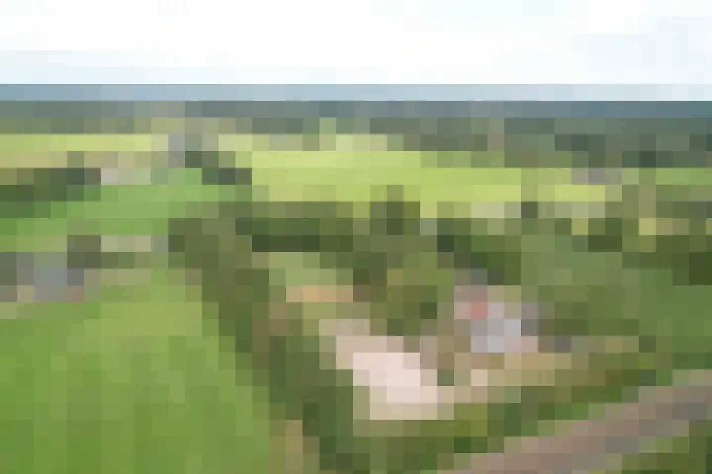 Deventerweg 72 Holten thumbnail 59
