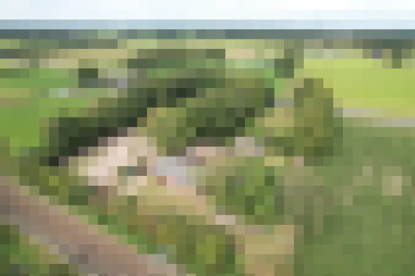 Deventerweg 72 Holten thumbnail 60