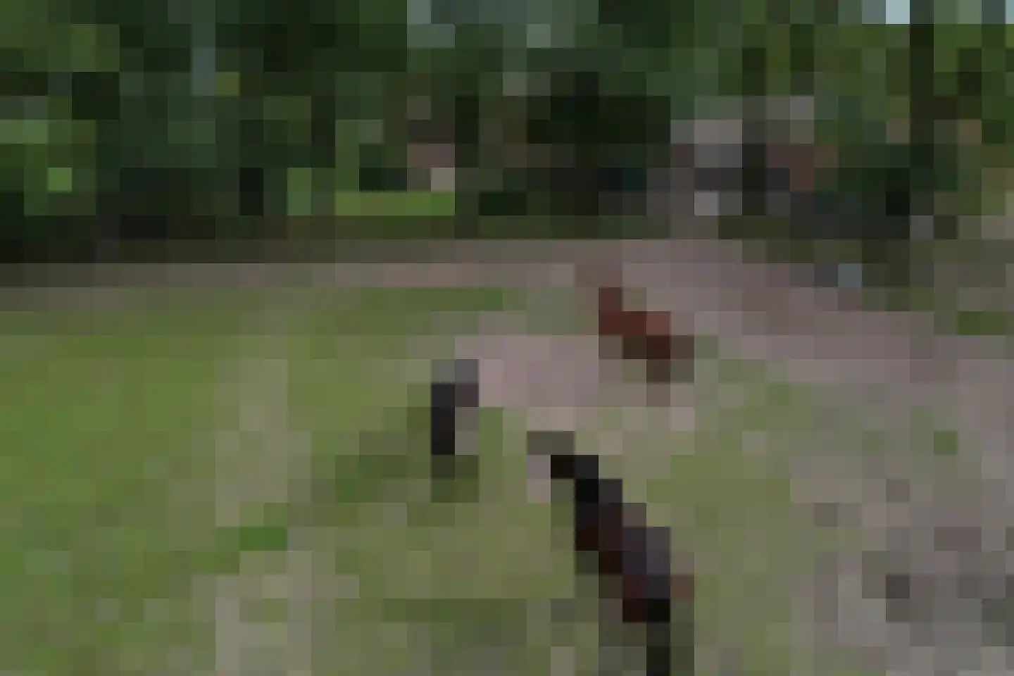 Deventerweg 72 Holten thumbnail 63