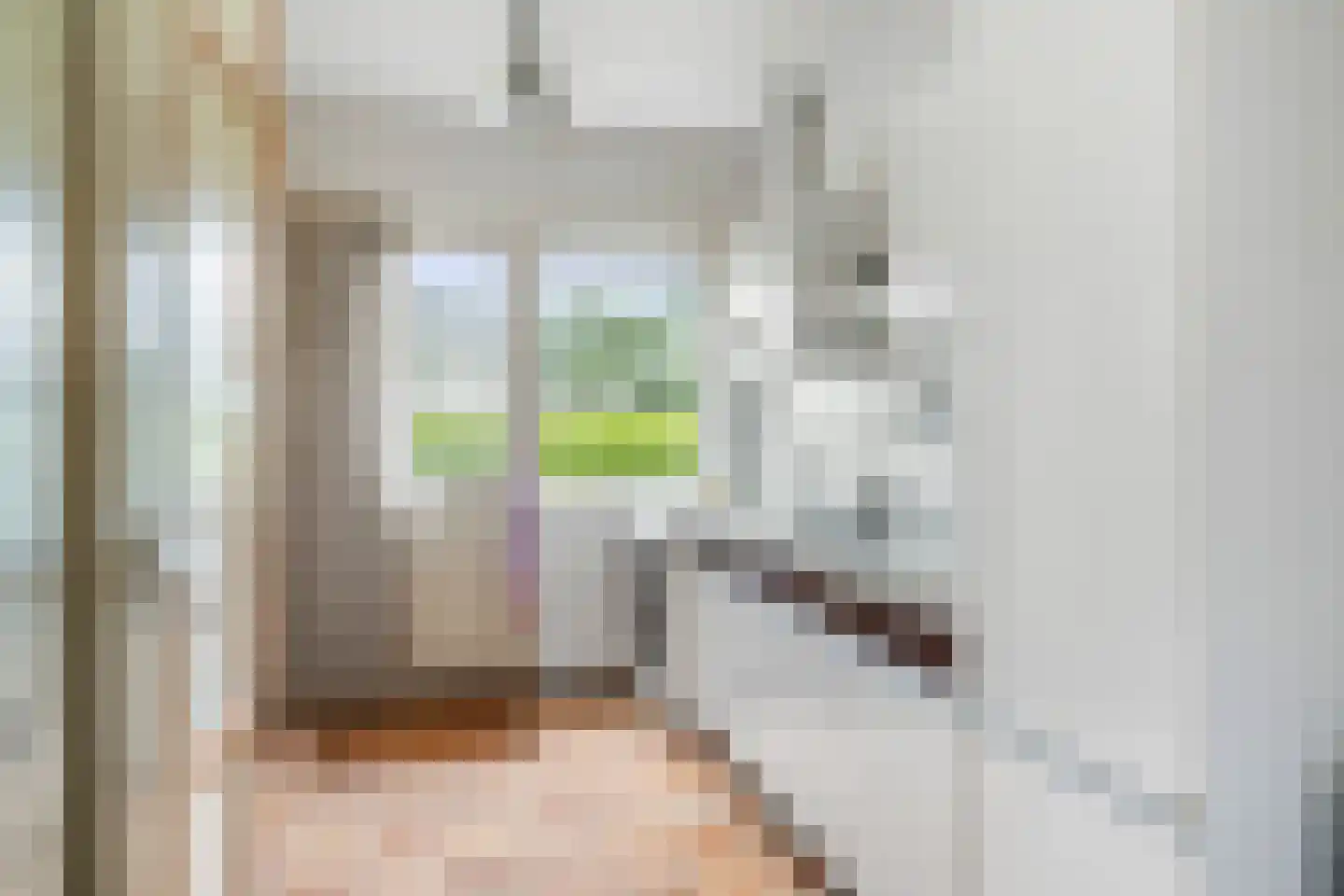 Deventerweg 72 Holten thumbnail 7