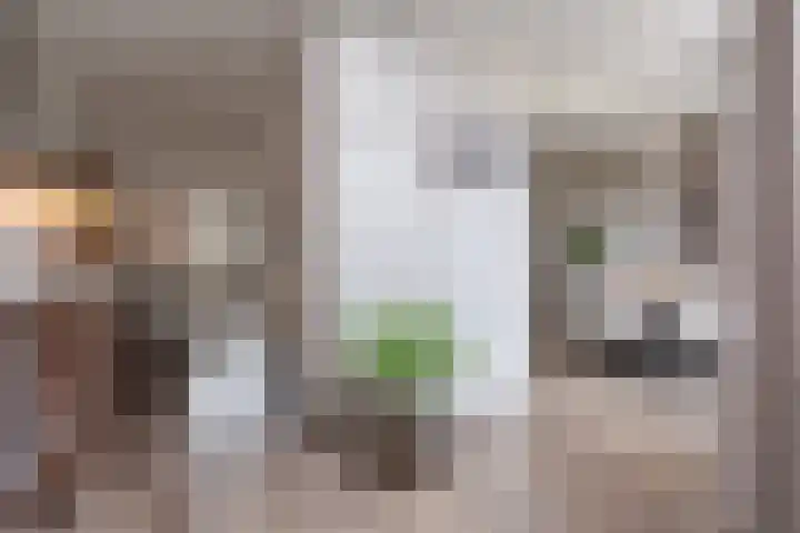 Deventerweg 95 Harderwijk thumbnail 16