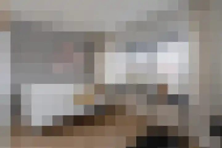 Deventerweg 95 Harderwijk thumbnail 24