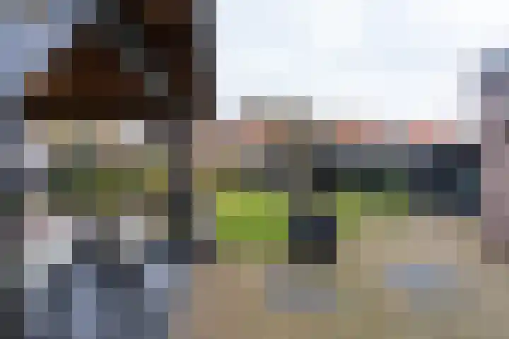 Deventerweg 95 Harderwijk thumbnail 36