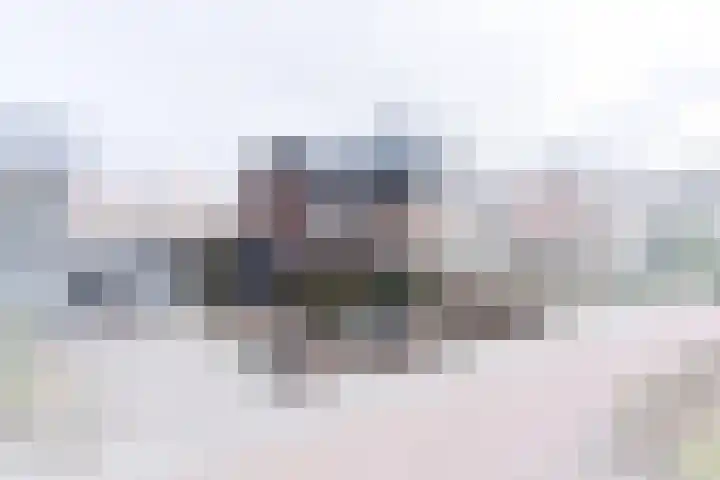 Deventerweg 95 Harderwijk thumbnail 4