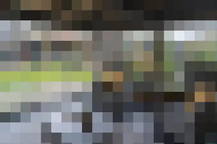 Deventerweg 95 Harderwijk thumbnail 43