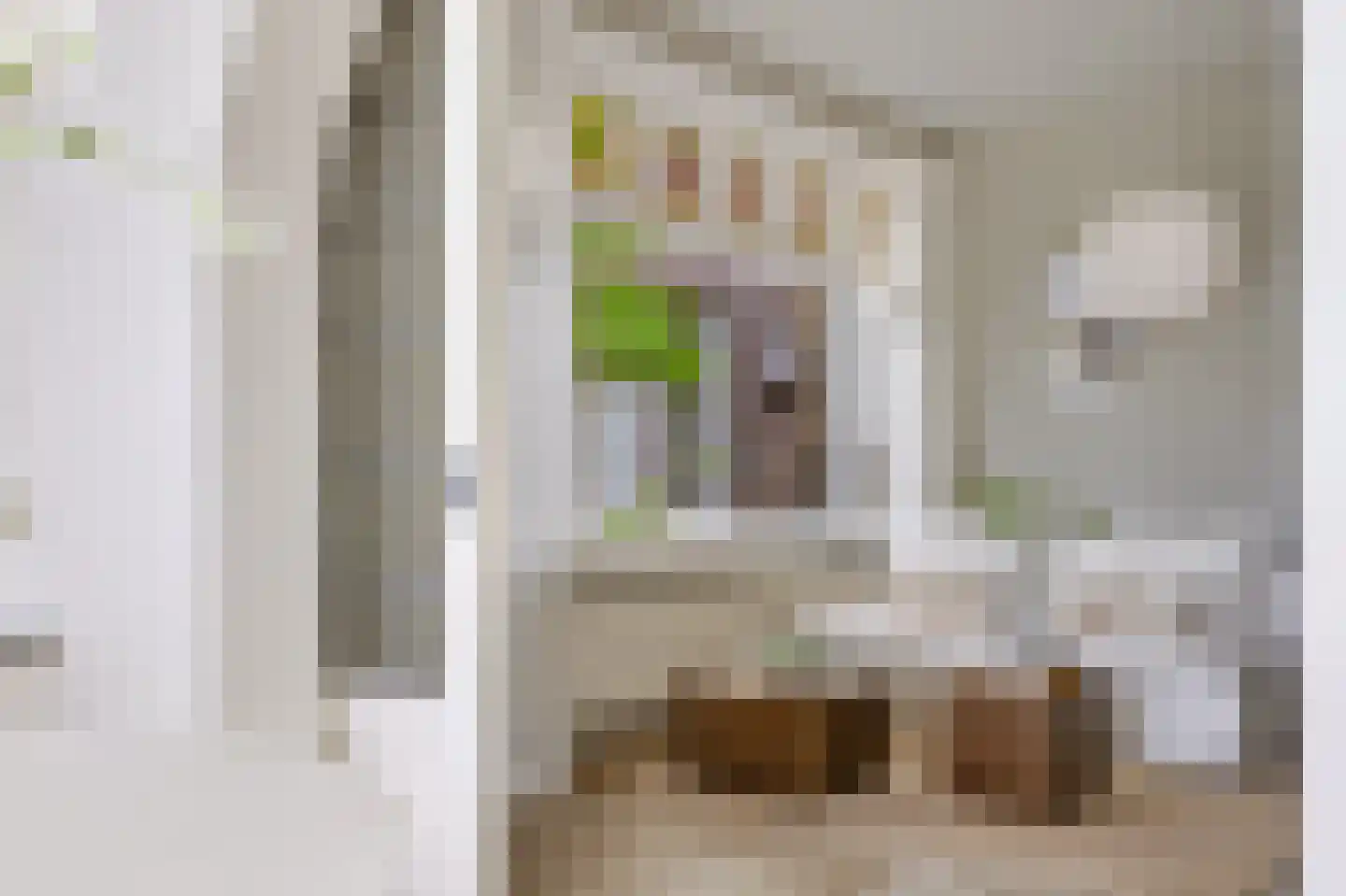 Deventerweg 99 Zutphen thumbnail 13