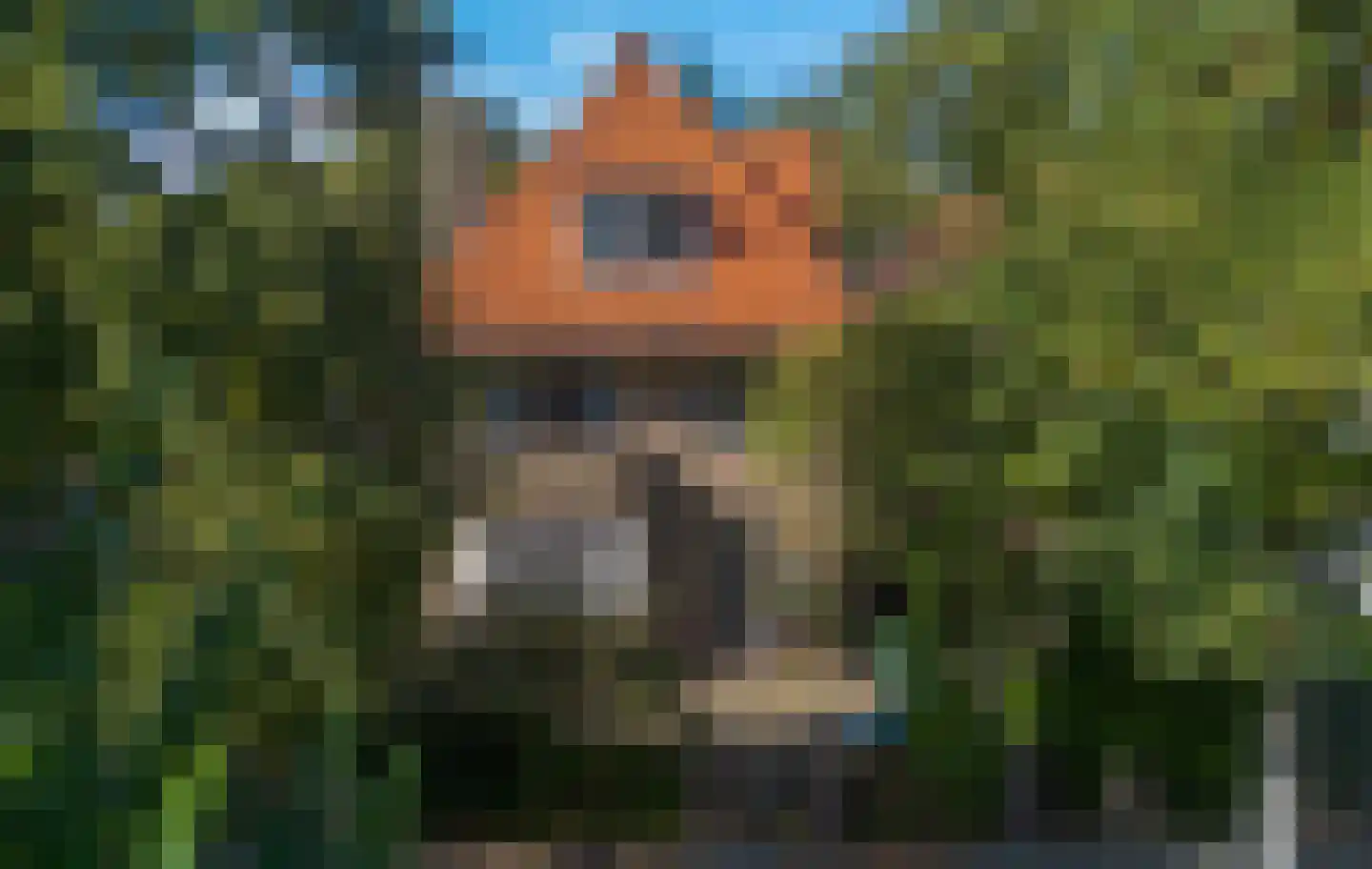 Deventerweg 99 Zutphen thumbnail 30