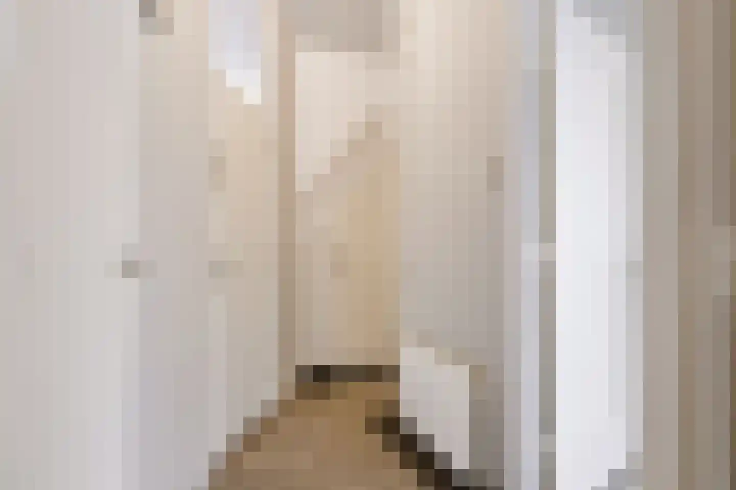 Deventerweg 99 Zutphen thumbnail 7