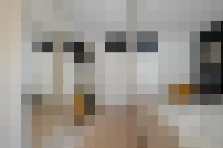 Deverbrink 19 Emmen thumbnail 18